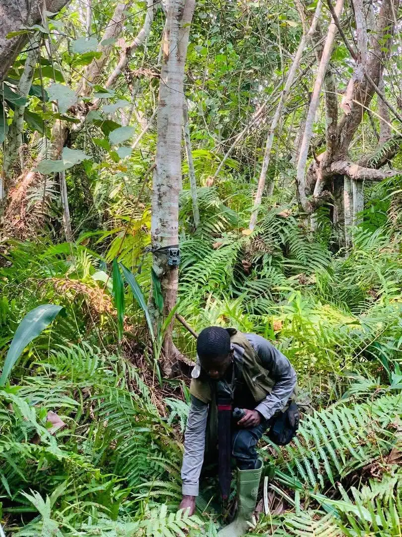 Projet forêt Hlanzoun