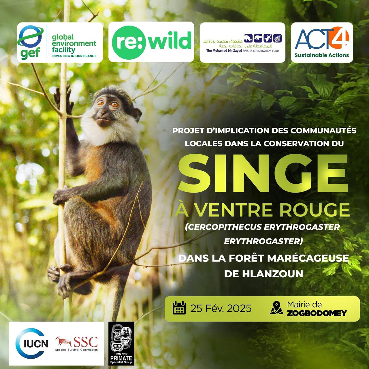 Projet d'implication des communautés locales dans la conservation du Singe à ventre rouge dans la forêt marécageuse Hlanzoun